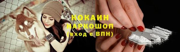 хмурый Алексин