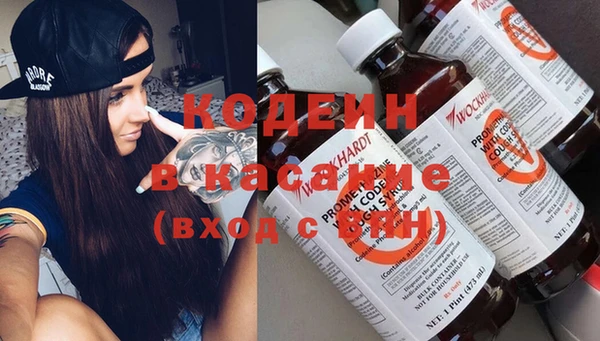 хмурый Алексин