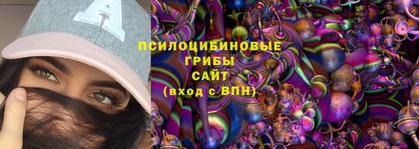 хмурый Алексин