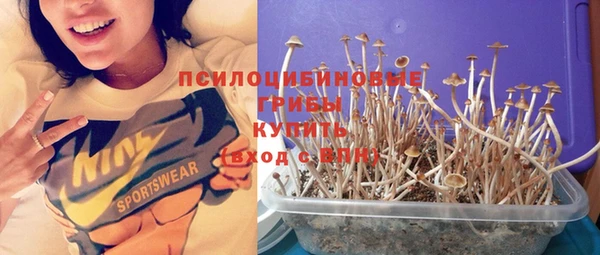 хмурый Алексин