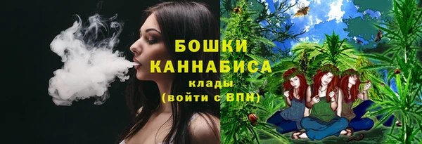 прущие грибы Приозерск