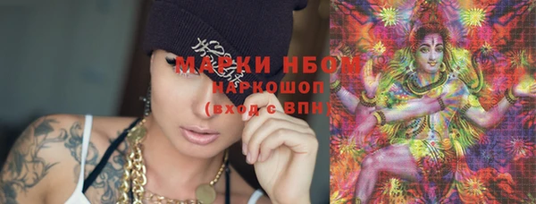 хмурый Алексин