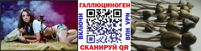 Галлюциногенные грибы мицелий Урай